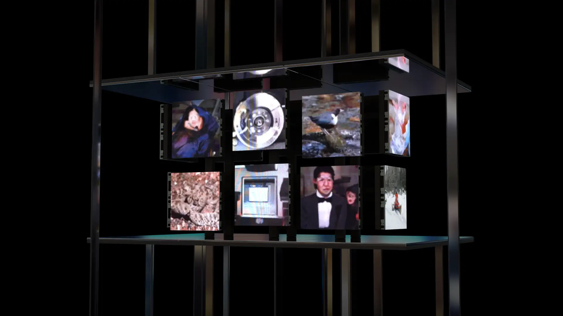 2019年11月14日（木）から日本科学未来館で一般公開された落合陽一氏総合監修の常設展示「計算機と自然、計算機の自然」へ、GAN（敵対的生成ネットワーク）を用いたモーフィング映像が採用